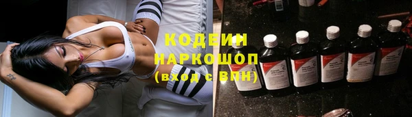 индика Аксай