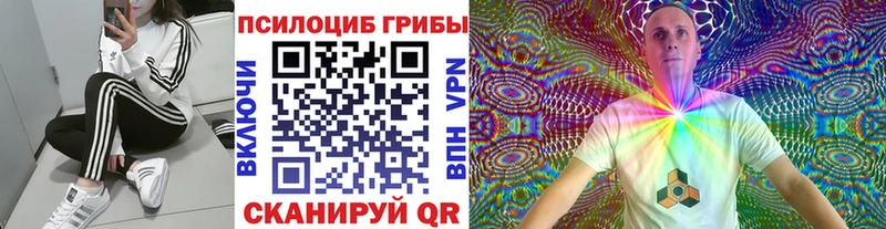 Псилоцибиновые грибы Cubensis Нытва